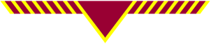 Our current neckerchief design.